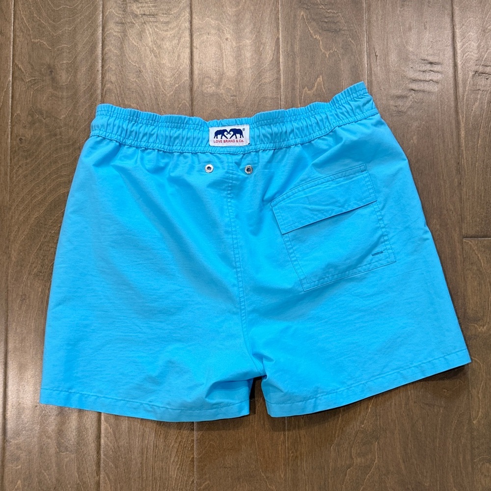 Love Brand & Co Bright Aqua Men's Swim Shorts